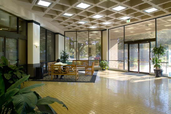 Museum Medical Tower Image